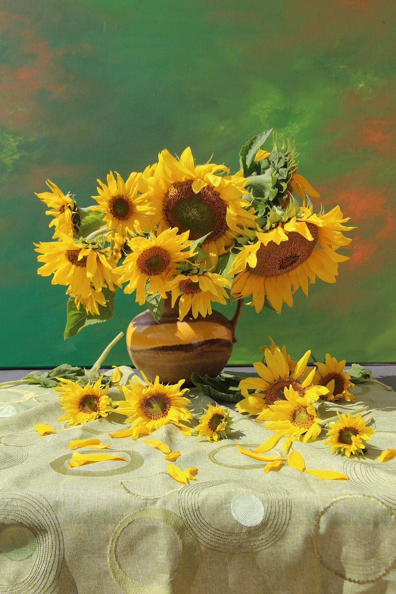 Sunflower