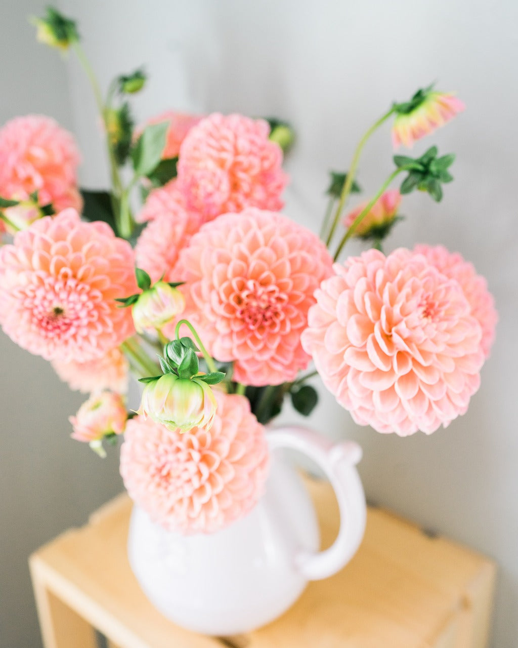 Dalia